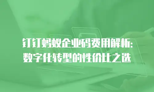 钉钉蚂蚁企业码费用解析：数字化转型的性价比之选
