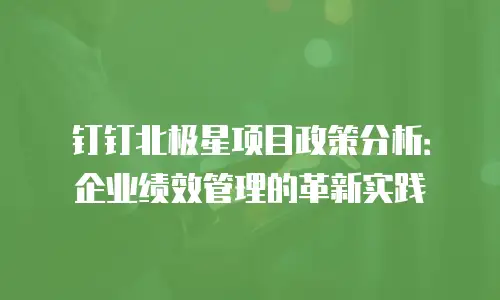 钉钉北极星项目政策分析：企业绩效管理的革新实践