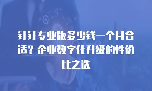 钉钉专业版多少钱一个月合适？企业数字化升级的性价比之选