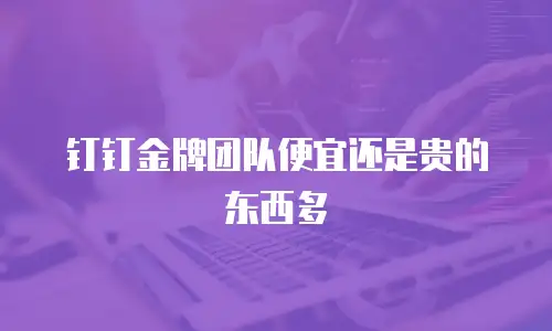 钉钉金牌团队便宜还是贵的东西多