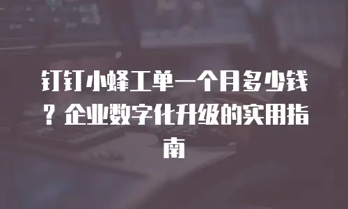 钉钉小蜂工单一个月多少钱？企业数字化升级的实用指南
