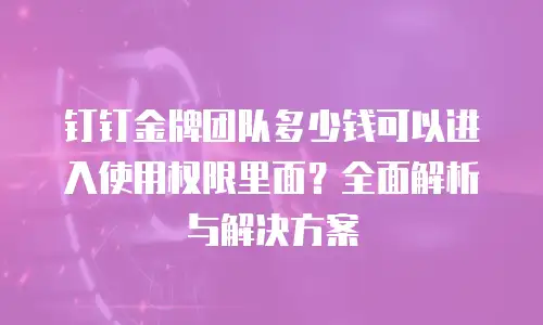 钉钉金牌团队多少钱可以进入使用权限里面？全面解析与解决方案