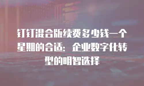 钉钉混合版续费多少钱一个星期的合适：企业数字化转型的明智选择