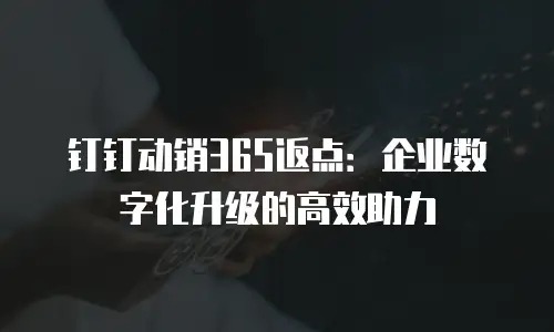 钉钉动销365返点：企业数字化升级的高效助力
