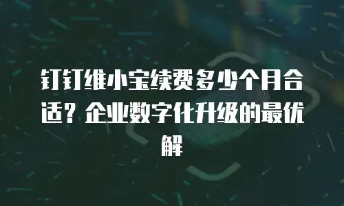 钉钉维小宝续费多少个月合适？企业数字化升级的最优解