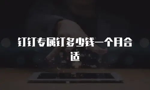 钉钉专属钉多少钱一个月合适