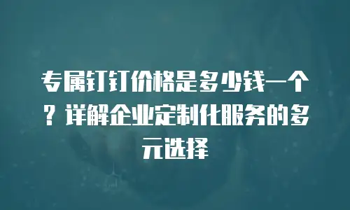 专属钉钉价格是多少钱一个？详解企业定制化服务的多元选择