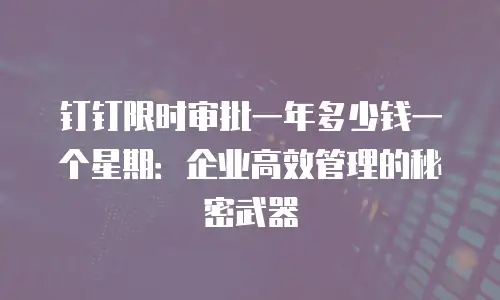 钉钉限时审批一年多少钱一个星期：企业高效管理的秘密武器