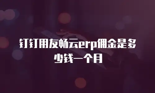 钉钉用友畅云erp佣金是多少钱一个月
