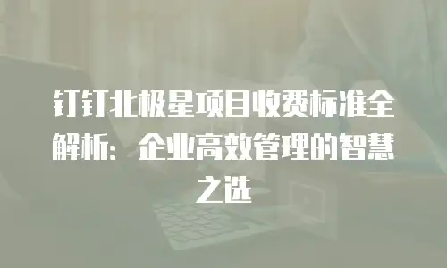 钉钉北极星项目收费标准全解析：企业高效管理的智慧之选
