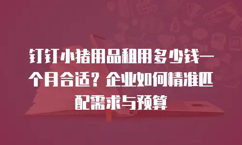 钉钉小猪用品租用多少钱一个月合适？企业如何精准匹配需求与预算