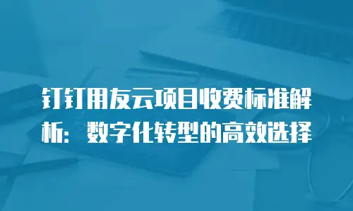 钉钉用友云项目收费标准解析：数字化转型的高效选择