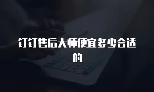 钉钉售后大师便宜多少合适的