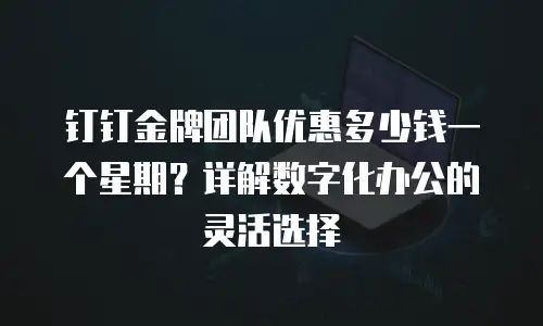 钉钉金牌团队优惠多少钱一个星期？详解数字化办公的灵活选择