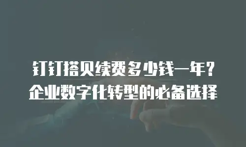钉钉搭贝续费多少钱一年？企业数字化转型的必备选择