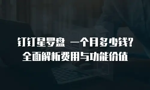 钉钉星罗盘 一个月多少钱？全面解析费用与功能价值