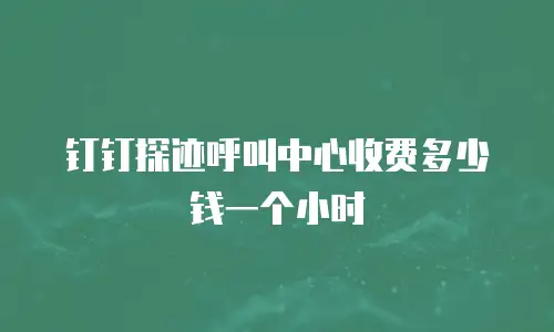 钉钉探迹呼叫中心收费多少钱一个小时