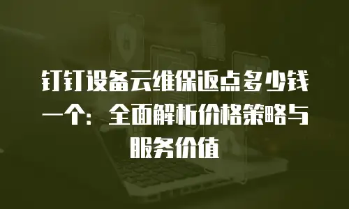 钉钉设备云维保返点多少钱一个：全面解析价格策略与服务价值