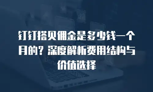 钉钉搭贝佣金是多少钱一个月的？深度解析费用结构与价值选择