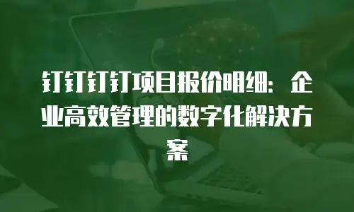 钉钉钉钉项目报价明细：企业高效管理的数字化解决方案