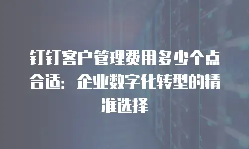 钉钉客户管理费用多少个点合适：企业数字化转型的精准选择