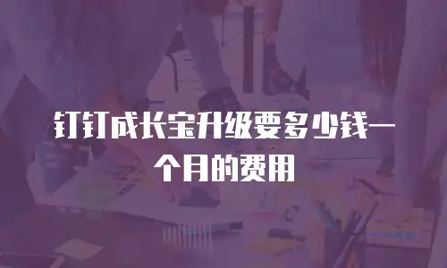 钉钉成长宝升级要多少钱一个月的费用