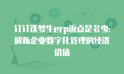 钉钉迭梦生erp返点是多少：解析企业数字化管理的经济价值