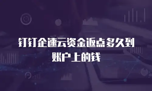 钉钉企速云资金返点多久到账户上的钱