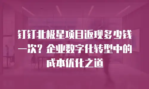 钉钉北极星项目返现多少钱一次？企业数字化转型中的成本优化之道