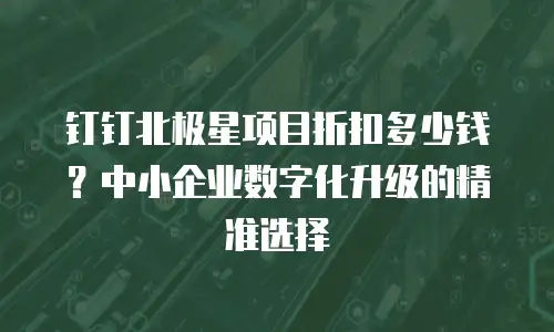钉钉北极星项目折扣多少钱？中小企业数字化升级的精准选择