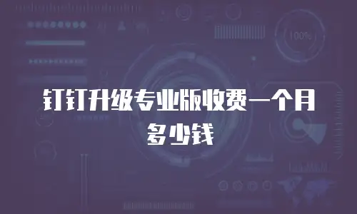 钉钉升级专业版收费一个月多少钱