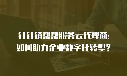 钉钉销帮帮服务云代理商：如何助力企业数字化转型？