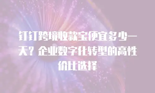 钉钉跨境收款宝便宜多少一天？企业数字化转型的高性价比选择