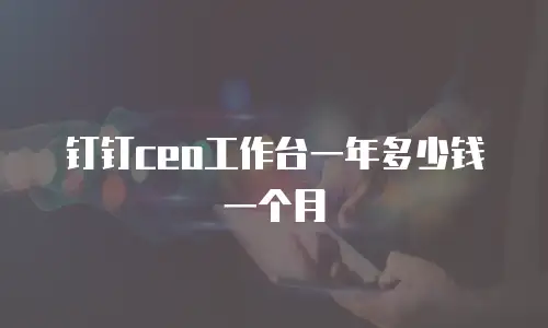 钉钉ceo工作台一年多少钱一个月