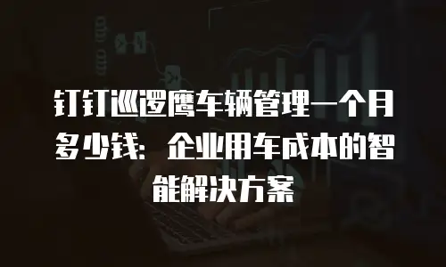 钉钉巡逻鹰车辆管理一个月多少钱：企业用车成本的智能解决方案