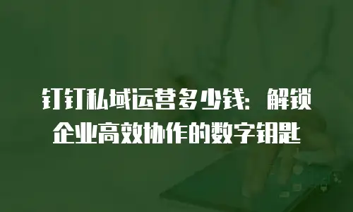 钉钉私域运营多少钱：解锁企业高效协作的数字钥匙