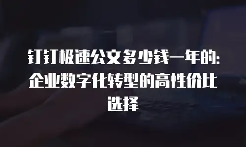 钉钉极速公文多少钱一年的：企业数字化转型的高性价比选择