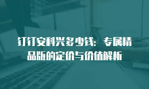 钉钉安科兴多少钱：专属精品版的定价与价值解析
