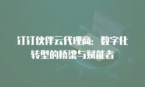 钉钉伙伴云代理商：数字化转型的桥梁与赋能者