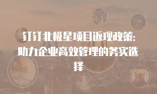 钉钉北极星项目返现政策：助力企业高效管理的务实选择