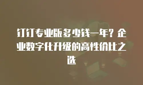 钉钉专业版多少钱一年？企业数字化升级的高性价比之选