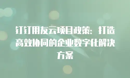 钉钉用友云项目政策：打造高效协同的企业数字化解决方案