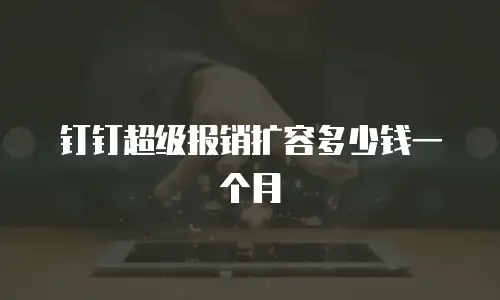 钉钉超级报销扩容多少钱一个月