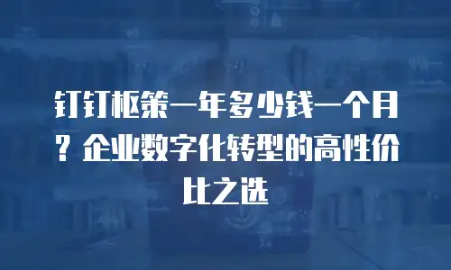 钉钉枢策一年多少钱一个月？企业数字化转型的高性价比之选