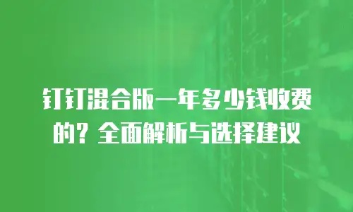 钉钉混合版一年多少钱收费的？全面解析与选择建议
