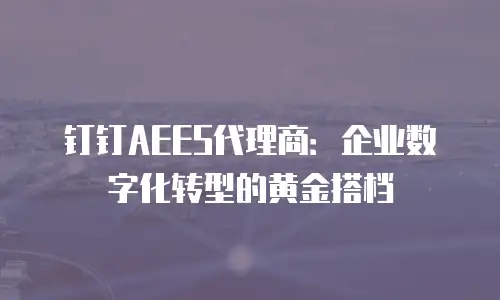 钉钉AEES代理商：企业数字化转型的黄金搭档