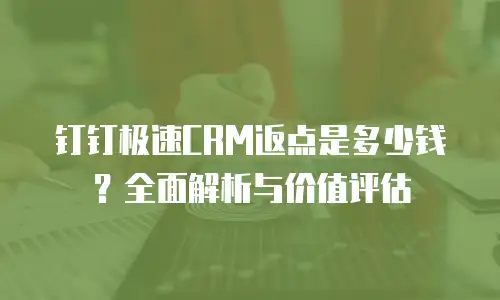 钉钉极速CRM返点是多少钱？全面解析与价值评估
