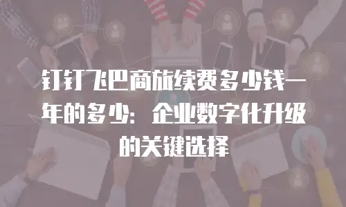 钉钉飞巴商旅续费多少钱一年的多少：企业数字化升级的关键选择