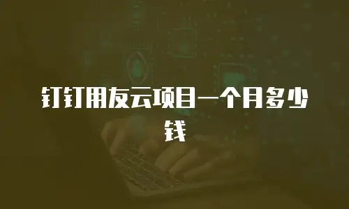 钉钉用友云项目一个月多少钱