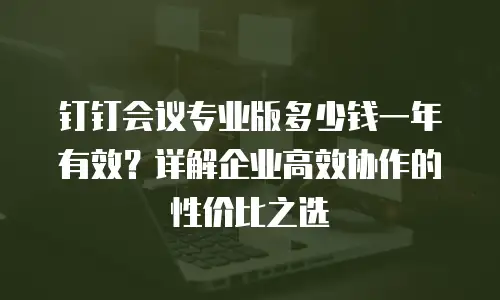 钉钉会议专业版多少钱一年有效？详解企业高效协作的性价比之选